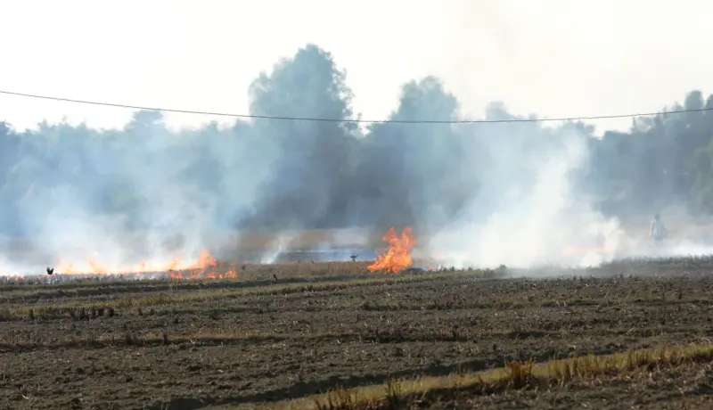 काठमाण्डूको वायु प्रदूषण अस्वस्थकर तहमा, ध्यान पुर्‍याउनुपर्ने विषय यस्ता छन्