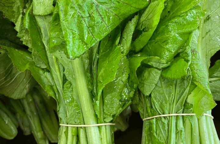 सागपातमै विषादीको मात्रा धेरै, कसरी स्वस्थ रहने ?