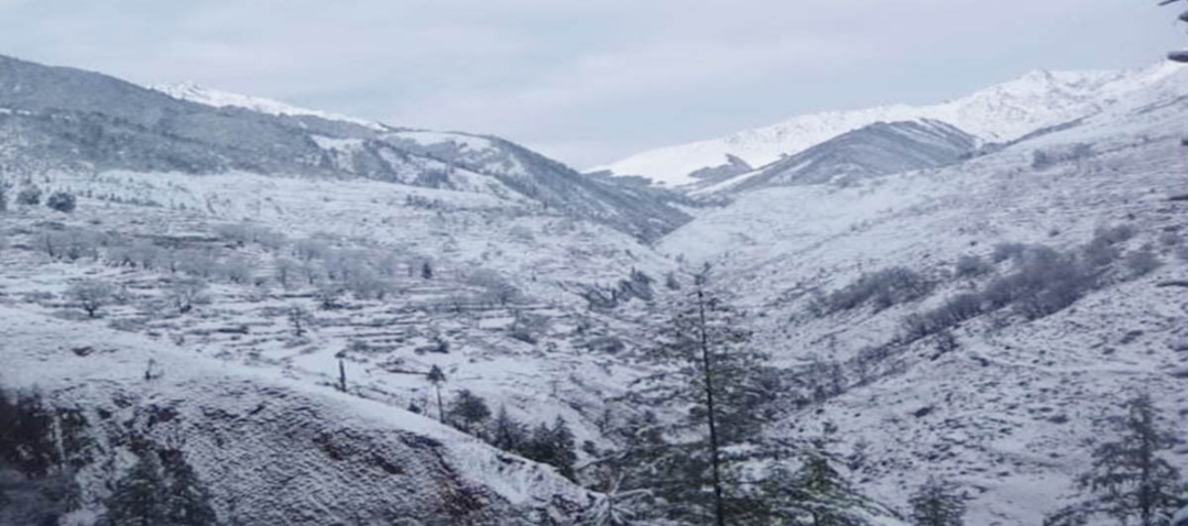 तराईमा हुस्सुको प्रभाव, उच्च पहाडी क्षेत्रमा हल्का वर्षा र हिमपातको सम्भावना